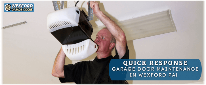 Garage Door Maintenance Wexford PA